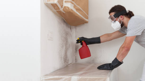 Professional Attic Mold Remediation technician working in Wilmington, NC