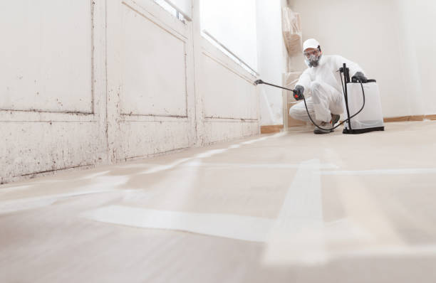 24/7 Emergency Attic Mold Remediation experts in Wilmington, NC